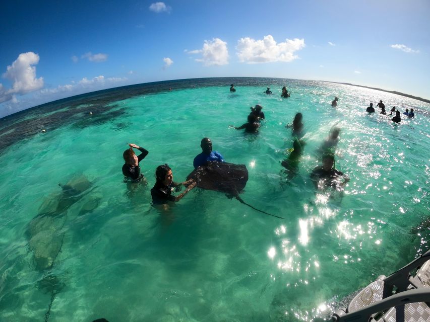 Snorkeling Activity in Stingray City Antigua - Transfer Inc. - Optional Photo Stop