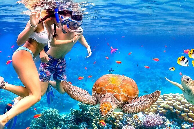 Snorkeling activity with Boat ride from Montego Bay - The Journey Begins: Pickup and Transportation