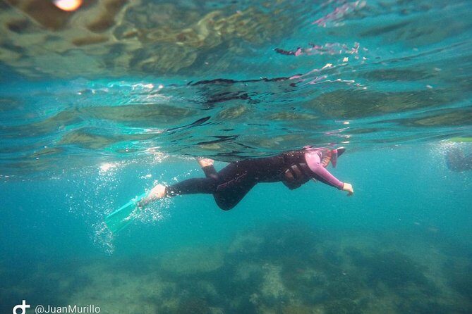 Snorkeling Adventure Cabo Pulmo - The Core of the Tour: What to Expect