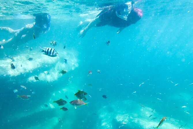 Snorkeling Adventure for Kids with Private Guide In Sydney - The Sum Up