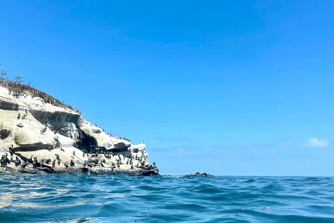 Snorkeling Adventure in La Jolla - FAQs