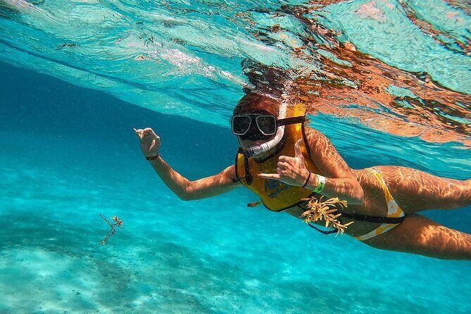 Snorkeling Adventure in Tulum Beach, Kaan Luum Lagoon and Cenote - A Closer Look at the Tour Itinerary