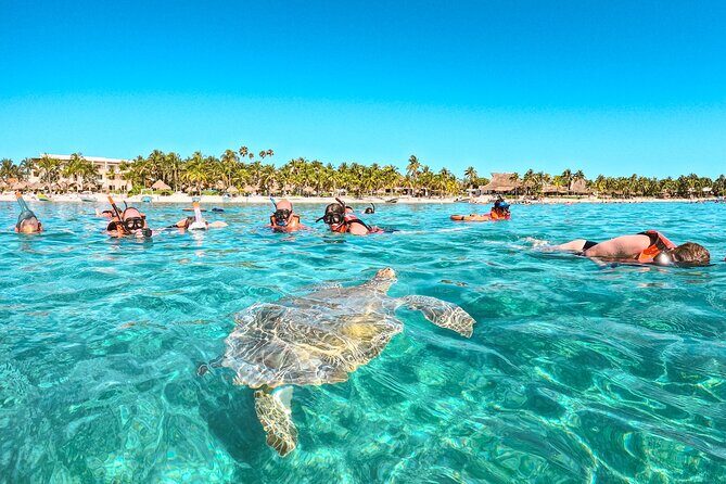 Snorkeling Adventure Swim with Sea Turtles at Akumal - Price and Value Analysis