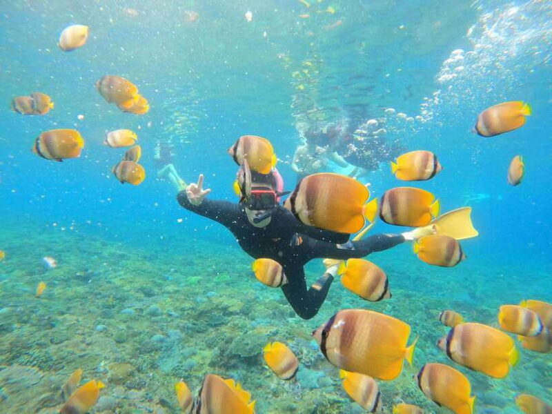 Snorkeling Adventure with Lucky Snorkeling - Key Points