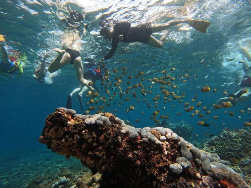Snorkeling Adventure with Lucky Snorkeling - The Practical Side: Value and Considerations