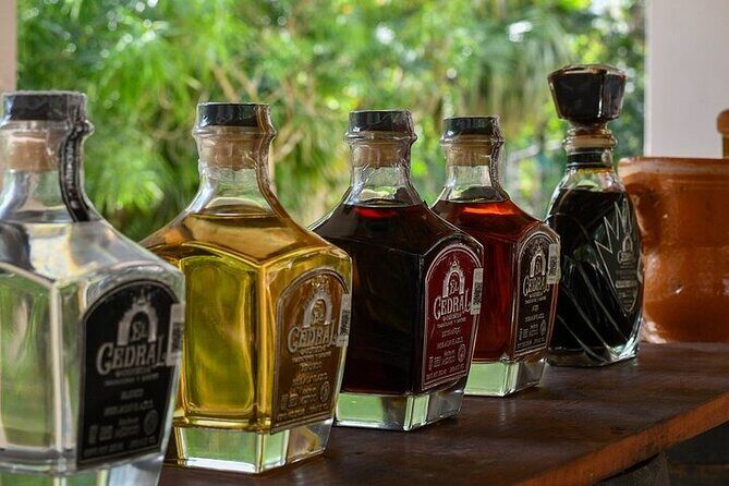 Snorkeling Adventure with Lunch and Tequila Tour - The Practicalities: What You Need to Know