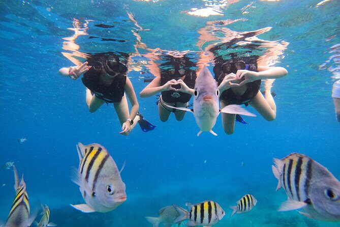Snorkeling Adventure with Lunch and Tequila Tour - Why Choose This Tour?