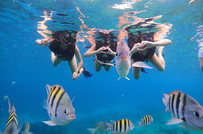 Snorkeling Adventure with Lunch and Tequila Tour - Who Is This Tour Best For?