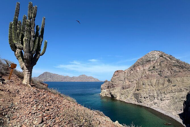 Snorkeling Adventure with Picnic from Villa del Palmar Hotel - FAQ