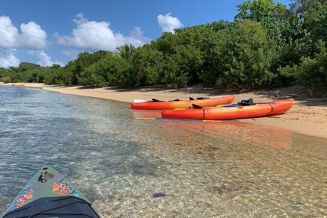 Snorkeling and Kayak Eco-Experience - Whats Included in the Tour