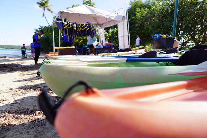 Snorkeling and Kayak Eco-Experience - Preparing for Your Adventure