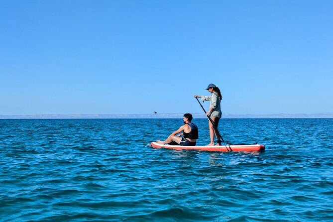 Snorkeling and Paddle Boarding Adventure in La Paz - Final Thoughts: Is It Worth It?