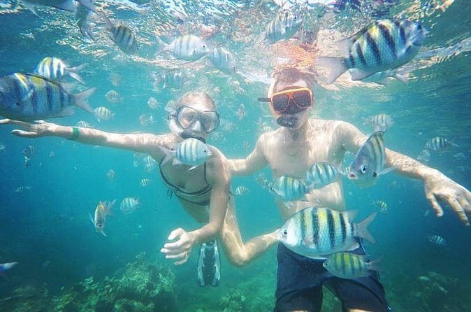 Snorkeling and Shopping in Montego Bay with Hotel pickup - The Logistics: What You Need to Know