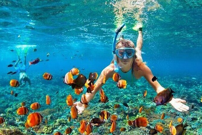 Snorkeling and Shopping Tour in Montego Bay with pick up - An In-Depth Look at the Tour Experience