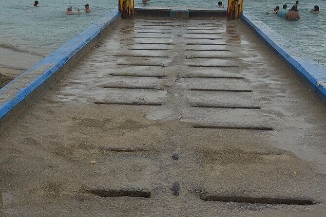 Snorkeling and Sightseeing Tour Explore Puerto Rico Marine Life - What Makes This Tour Stand Out?