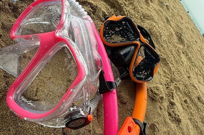 Snorkeling and Sightseeing Tour Explore Puerto Rico Marine Life - FAQ