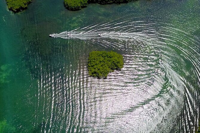 Snorkeling and Speed Boat Tour - Timing and Group Size