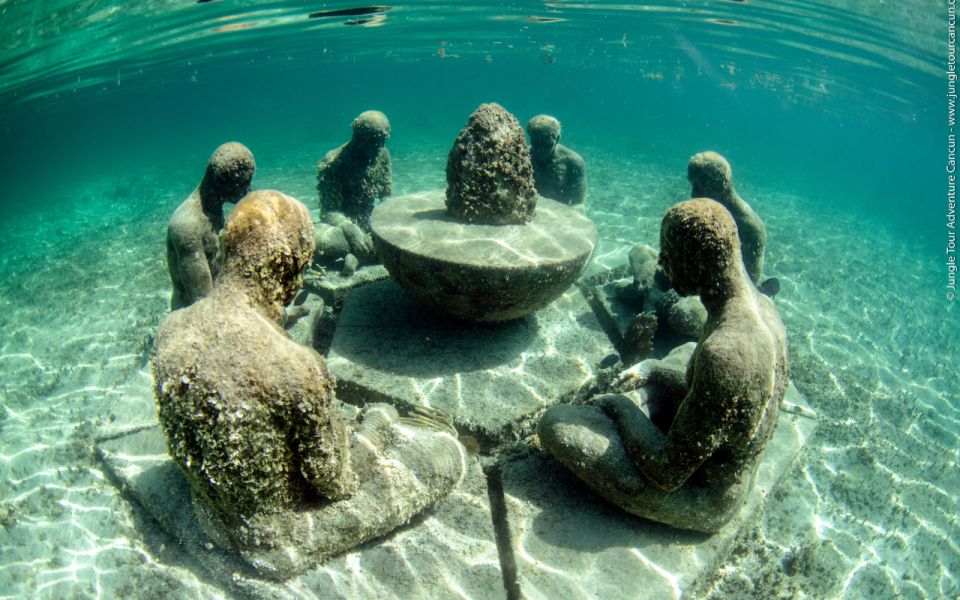 Snorkeling and Speed Boat Tour - Snorkeling and Wildlife