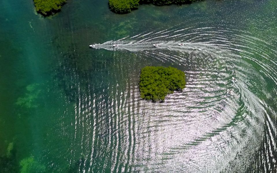 Snorkeling and Speed Boat Tour - Inclusions