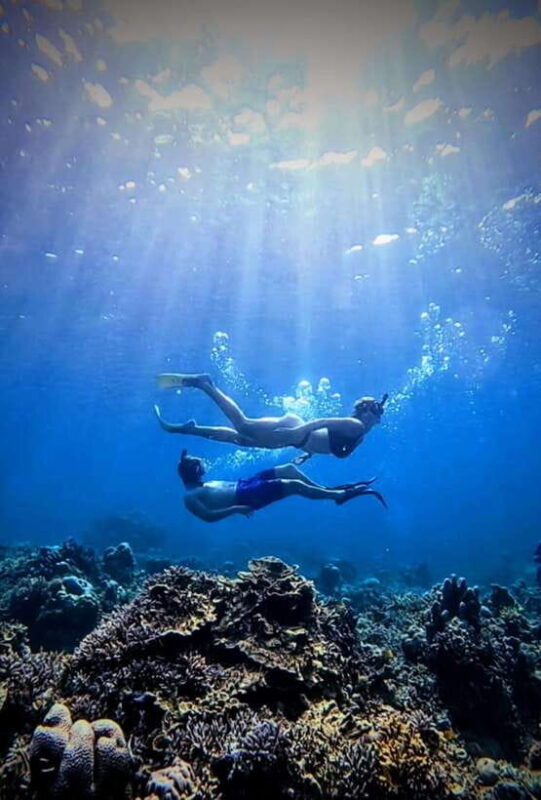 Snorkeling around 3 island & turtle sanctuary - Overview of the Tour Experience