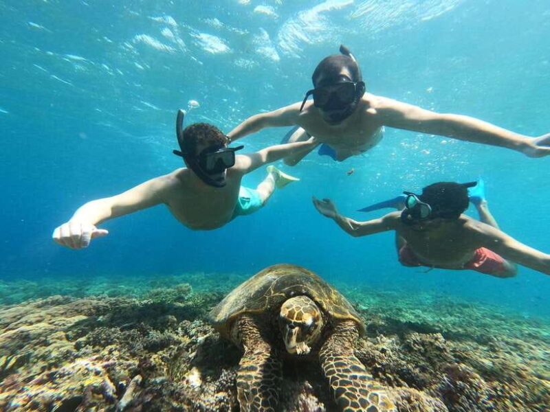 Snorkeling around 3 island & turtle sanctuary - Considering the Reviews