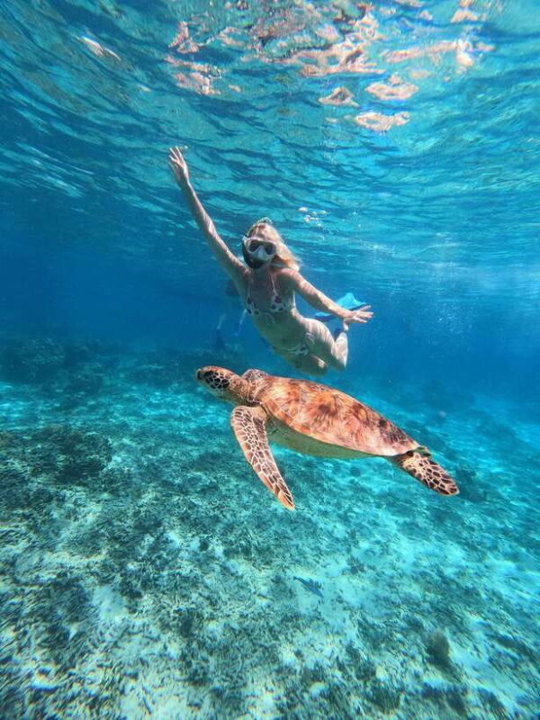 Snorkeling around 3 island & turtle sanctuary - Who Will Love This Tour?