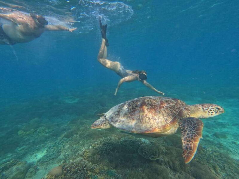 Snorkeling around 3 island & turtle sanctuary - The Sum Up: Is This Tour Worth It?