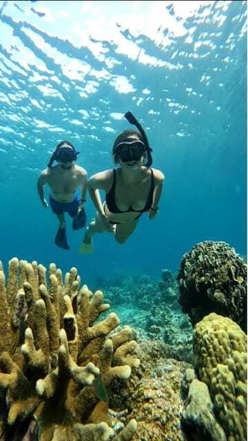 Snorkeling around 3 island & turtle sanctuary - FAQs