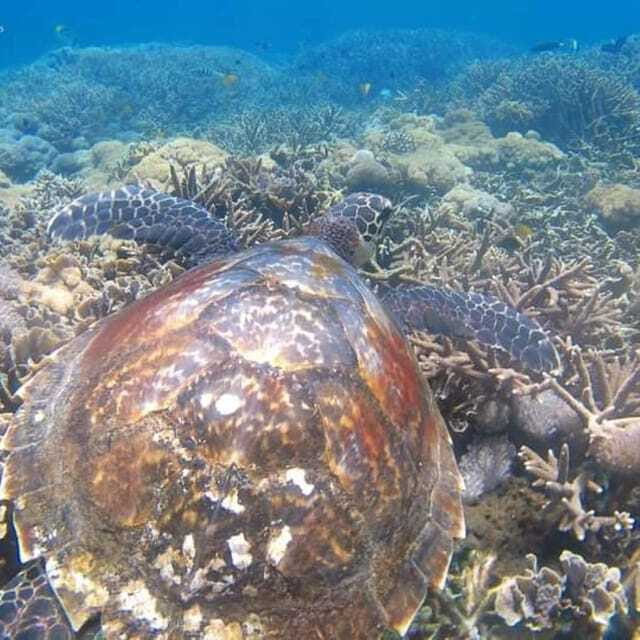 SNORKELING AT BLUELAGOON SPOT - Who Would Love This Tour?