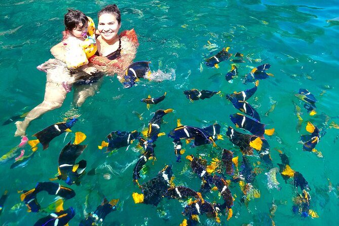 Snorkeling at Los Arcos 5 islands Hidden Beach and Cliff Jumping - Frequently Asked Questions