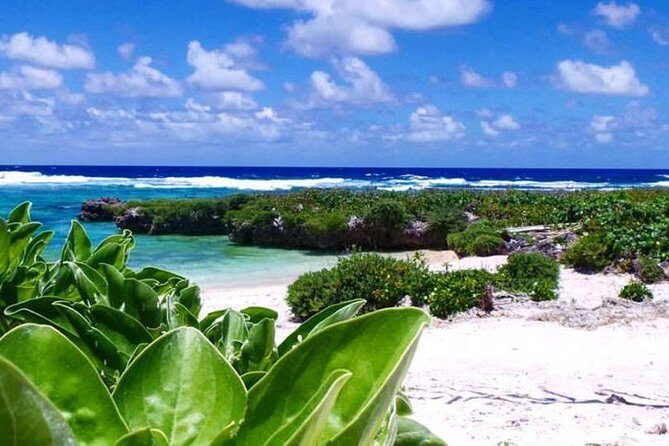 Snorkeling at Top Rock with Yumi Tours - Who Should Consider This Tour?