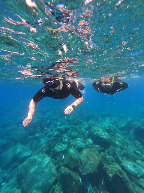 Snorkeling Boat Trip in Marine Turtles Natural Habitat - Experience Highlights