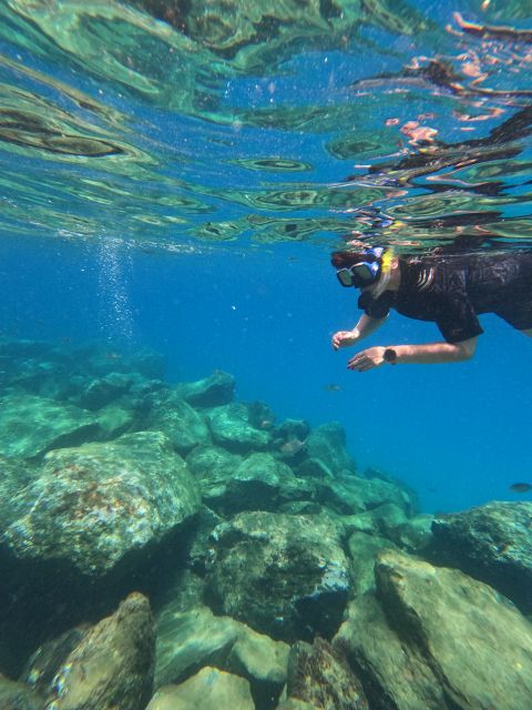 Snorkeling Boat Trip in Marine Turtles Natural Habitat - Itinerary