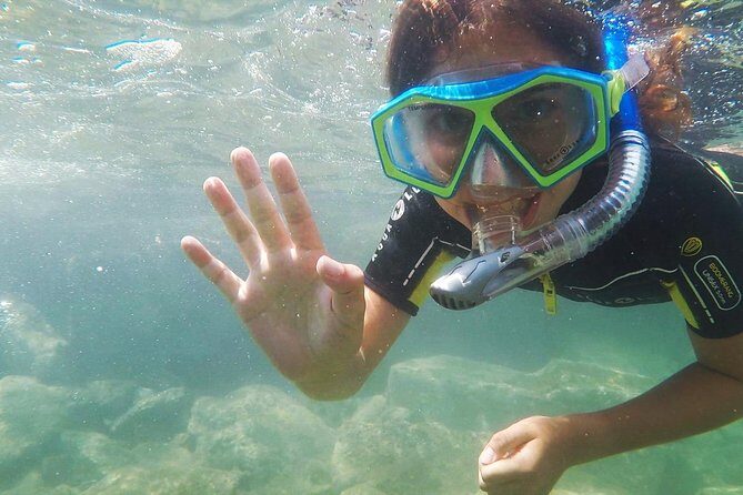 Snorkeling - By boat on site in the Bay of Cannes or Estérel - Who Will Love This Tour?