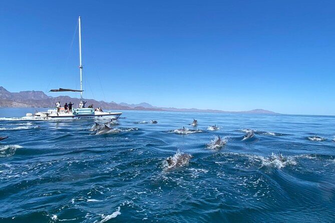 Snorkeling Catamaran Island Cruise - Crossing the Sea of Cortez