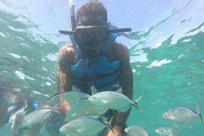 Snorkeling Catamaran Tour & Parasailing - An In-Depth Look at the Tour Experience