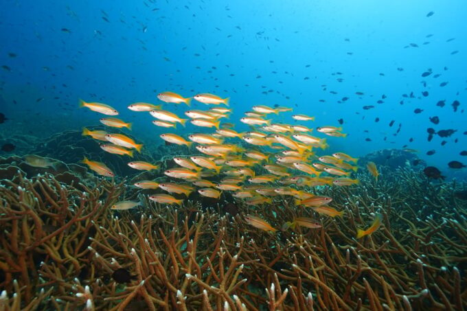 Snorkeling Course, Become a Confident Snorkeler. - Locations Visited