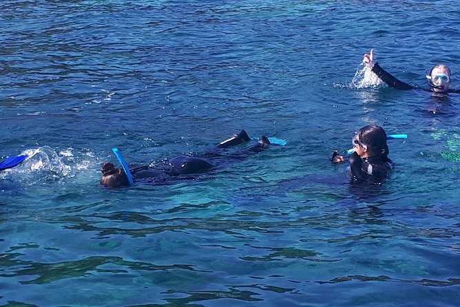 Snorkeling - Accessibility and Participation