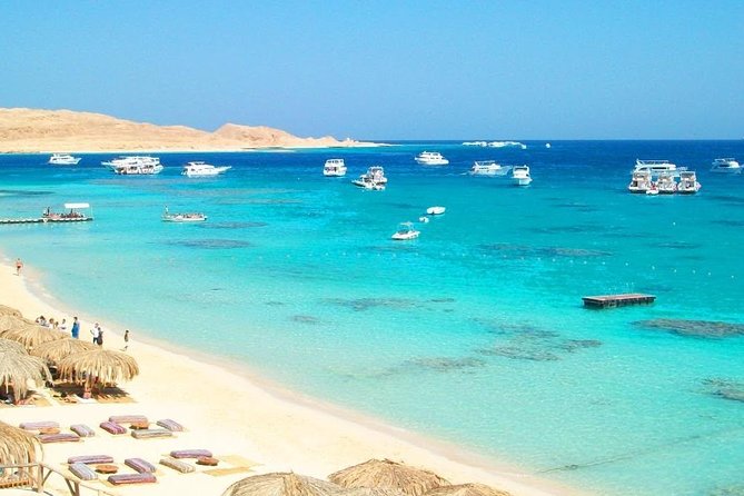 Snorkeling Day Trip in Hurghada - Good To Know