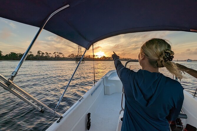 Snorkeling, Dolphin and Wildlife Sightings at St. Andrews Bay - Snorkeling Adventures