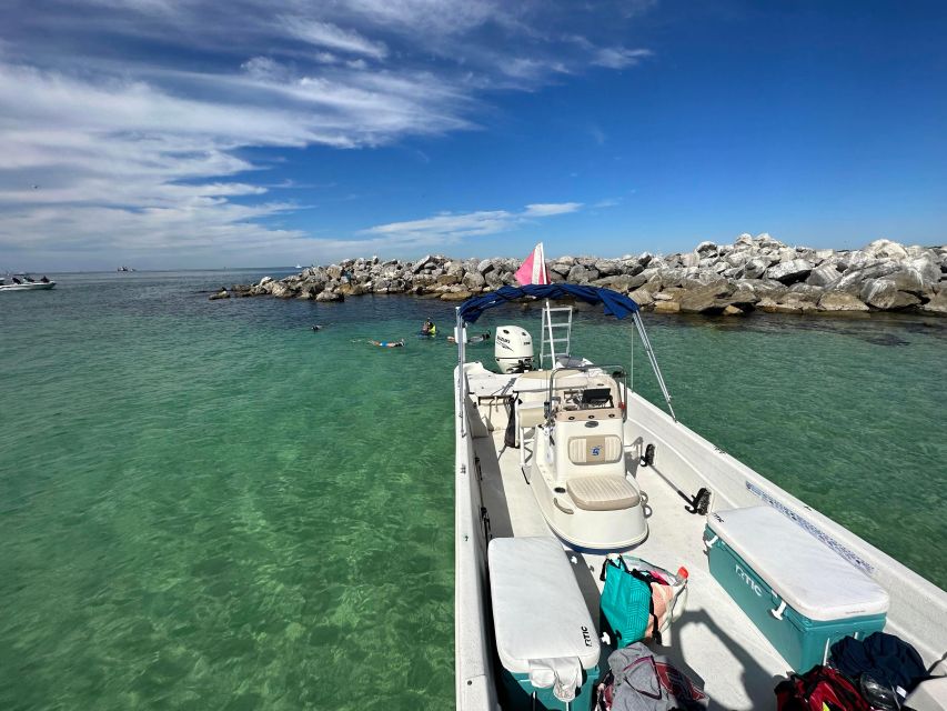 Snorkeling, Dolphins, Wildlife Sightings in St. Andrews Bay - Key Points