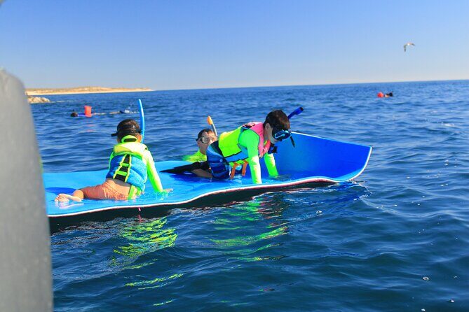 Snorkeling en San José del Cabo , Lunch , Snack , Drinks - Who Will Love This Tour?