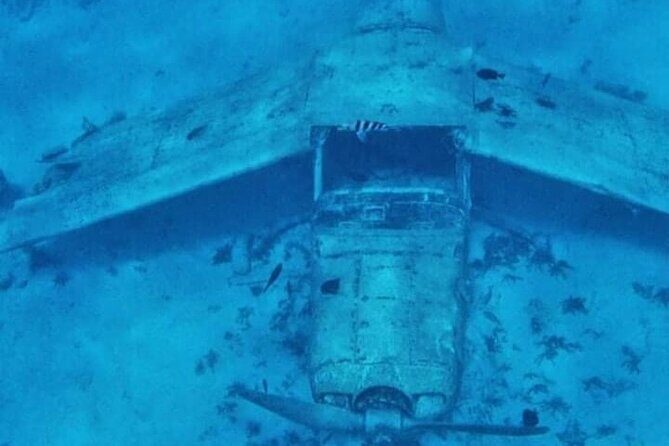 Snorkeling EN Small Group Tour in Tahiti - Final Thoughts