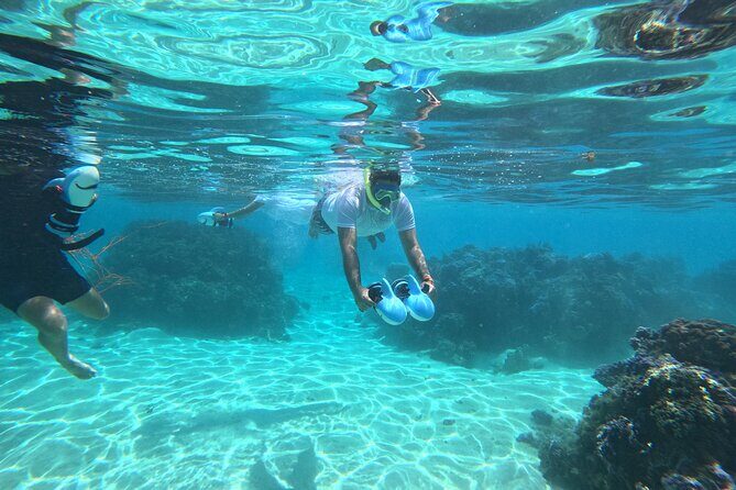 Snorkeling EN Underwater Scooter in Tahiti - What to Expect from the Tahiti Underwater Scooter Tour