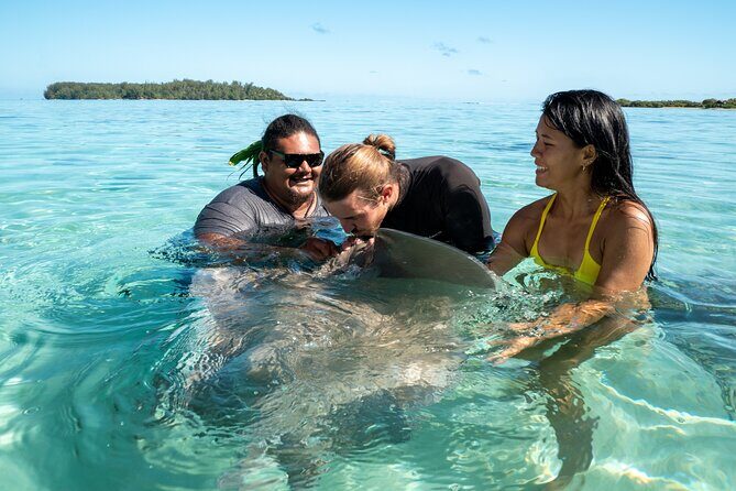 Snorkeling excursion and encounter with marine fauna in Moorea - Why This Tour Stands Out