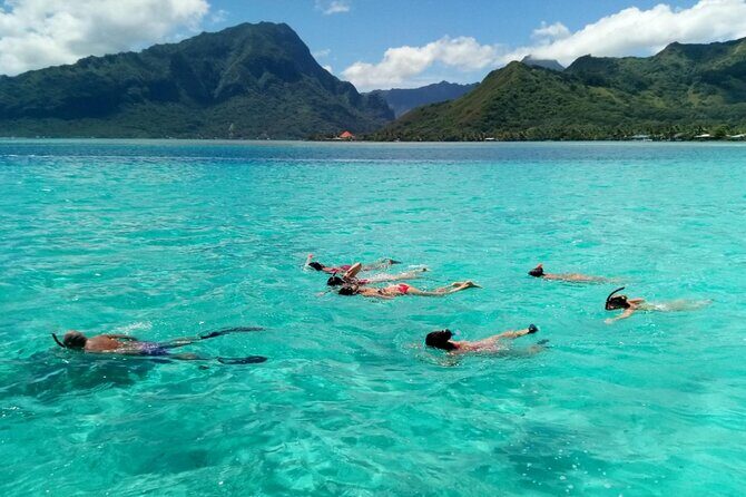 Snorkeling excursion and encounter with marine fauna in Moorea - Authentic Encounters and Real Reviews
