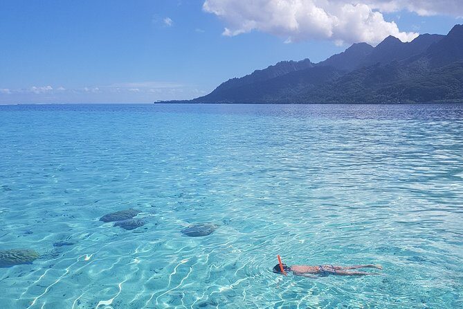 Snorkeling excursion, discovery of the lagoon, small group. - The Sum Up