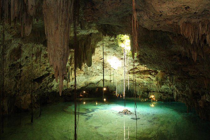 Snorkeling Expedition in Cancun and Riviera Maya (underwater World) - What to Expect from This Riviera Maya Snorkeling Adventure