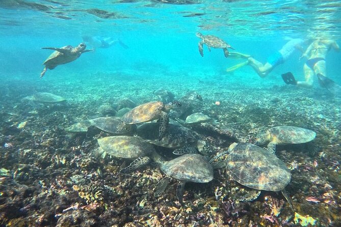 Snorkeling Experience at Ad Daymaniyat Islands in Muscat - Meeting and Departure Information