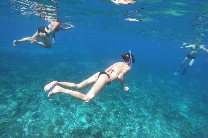 Snorkeling Experience Cozumel only from Playa del Carmen - Who Should Consider This Tour?